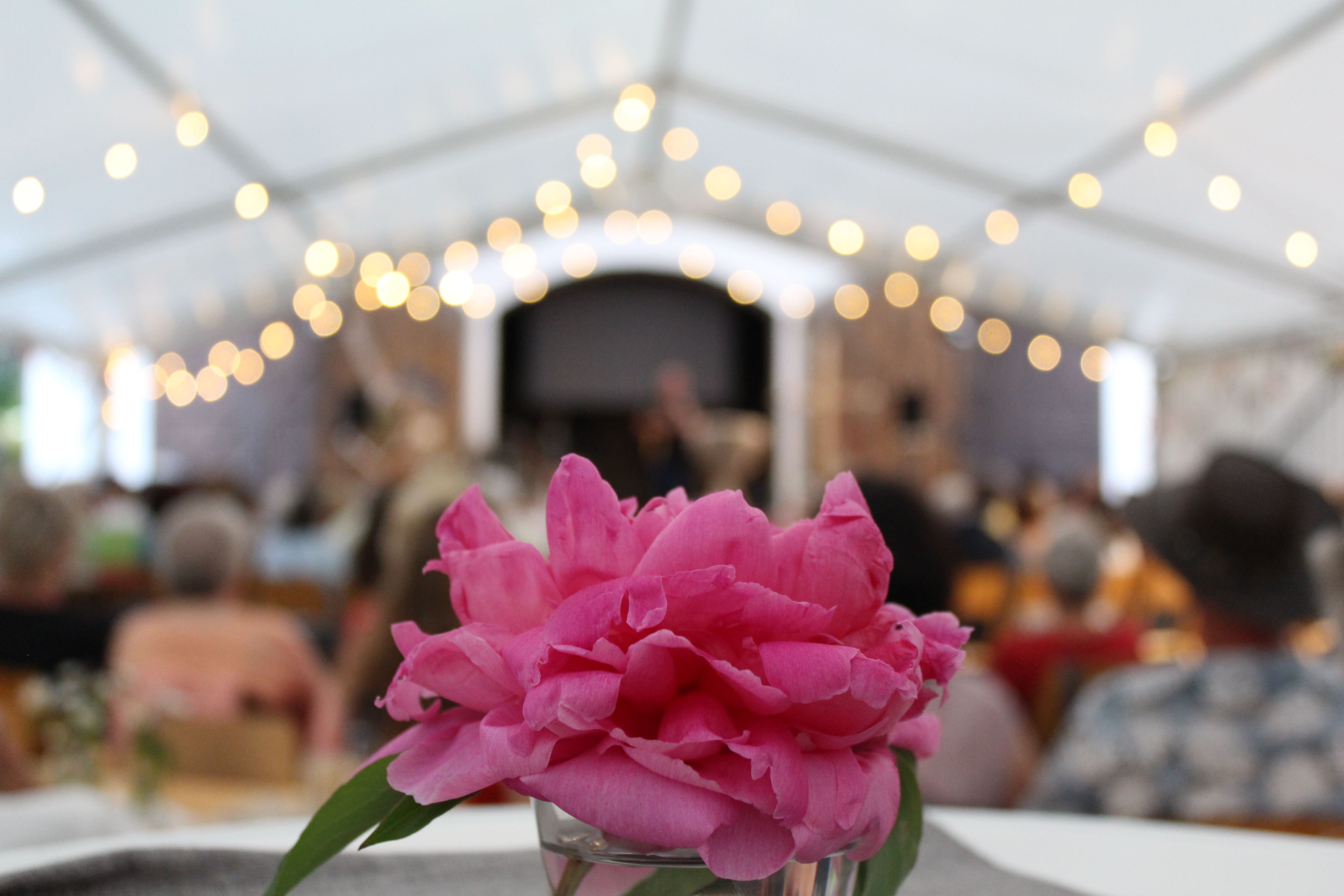 Bild Hoffnungstage 2023